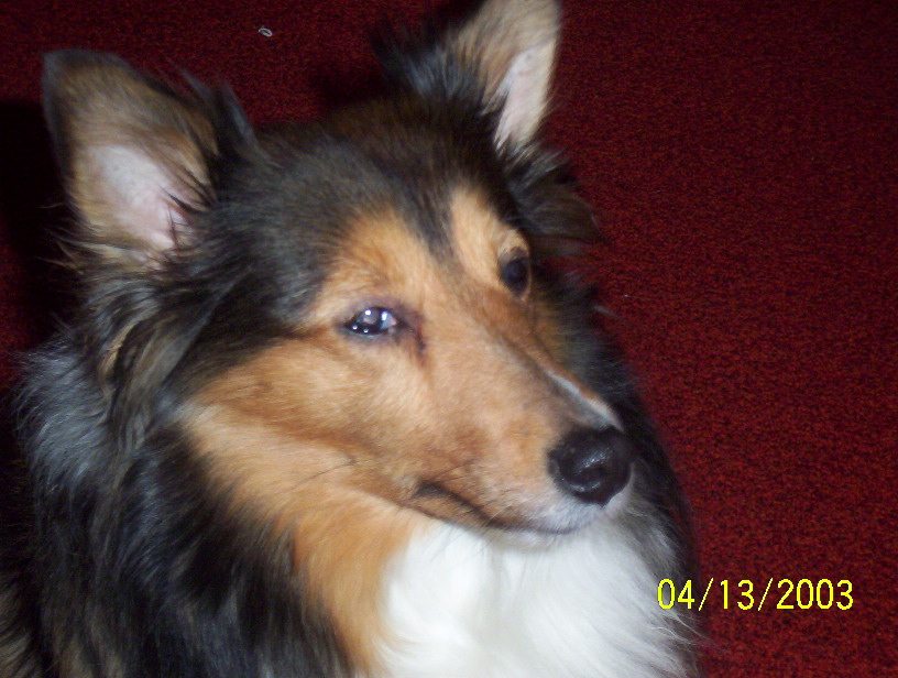 000_0052.jpg