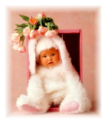 cutest_bunny.jpg